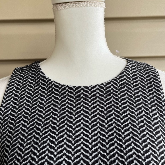 •LOFT• NWT Black/White Chevron Shift Dress - Size Medium Petite - Picture 3 of 9